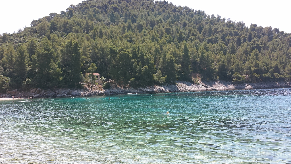 20130706_120151.jpg - La trasparenza dell'acqua.