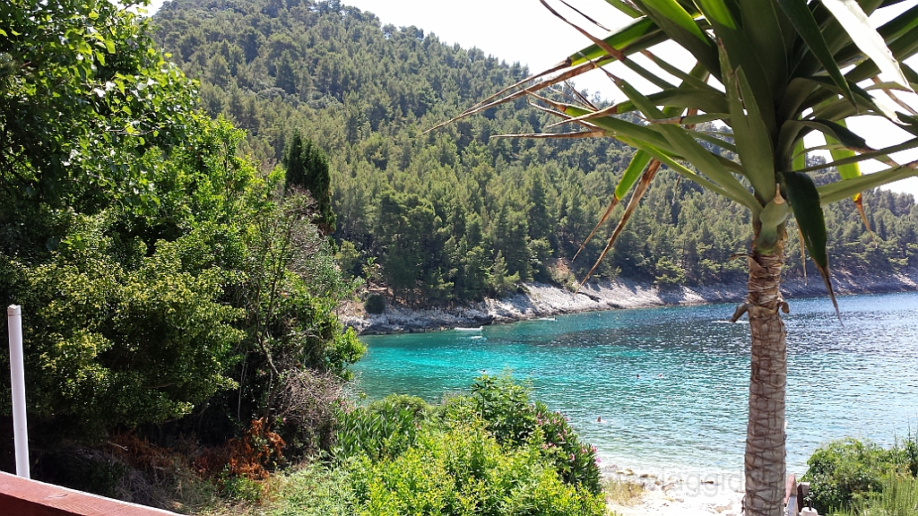 20130706_122542.jpg - I colori del mare.