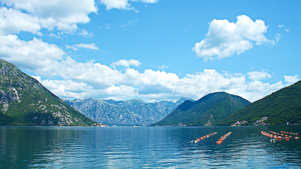 DSC00913.jpg - Sul fiordo di Kotor