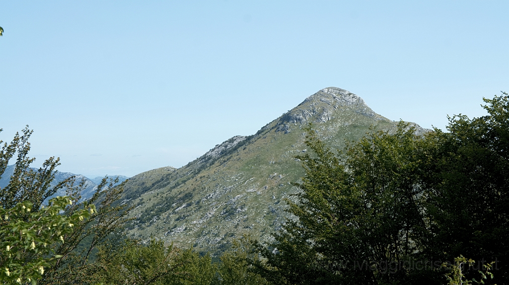 DSC01043.jpg - Parco nazionale del Lovcen.