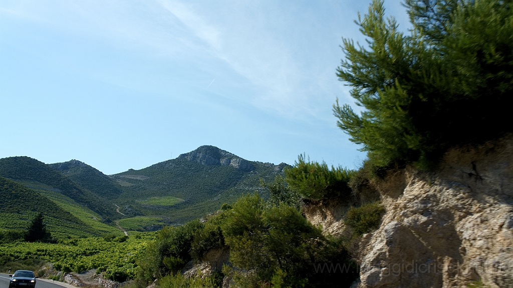 DSC01857.jpg - Penisola di Peliesac, interno.