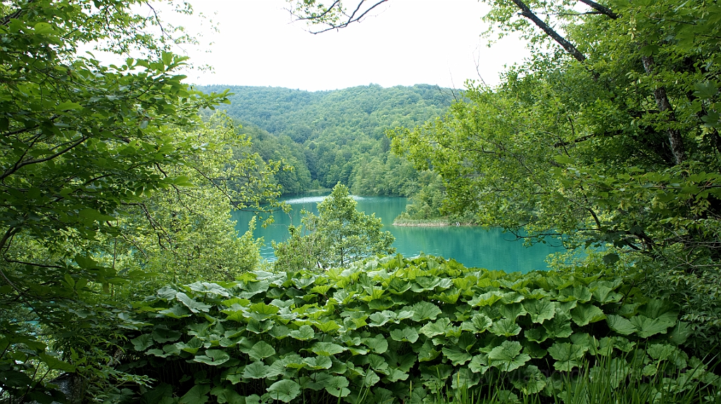 DSC02386.jpg - Croazia, Plitvice National Park.