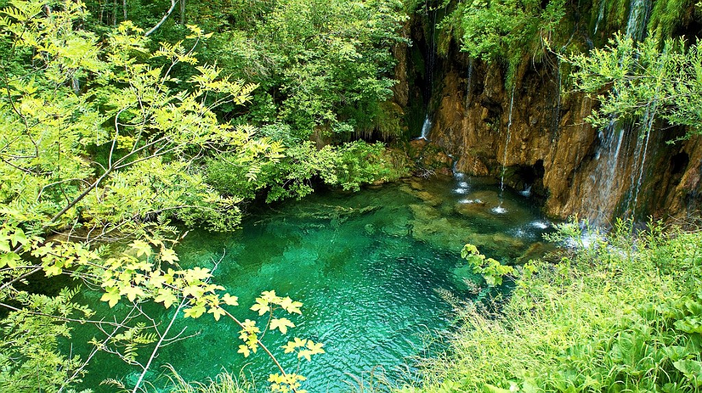 DSC02450.jpg - Croazia, Plitvice National Park.