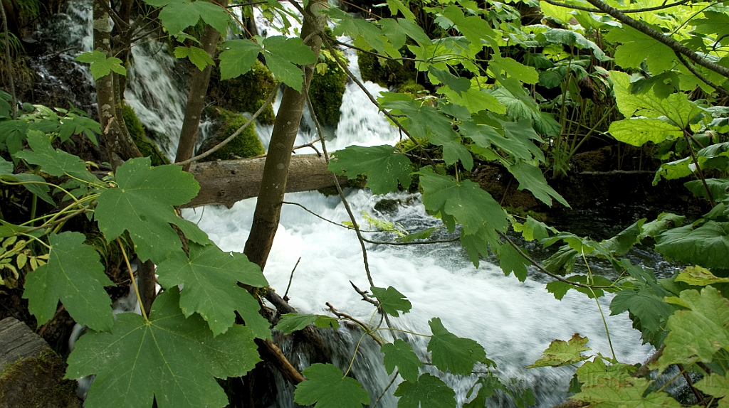 DSC02482.jpg - Croazia, Plitvice National Park.