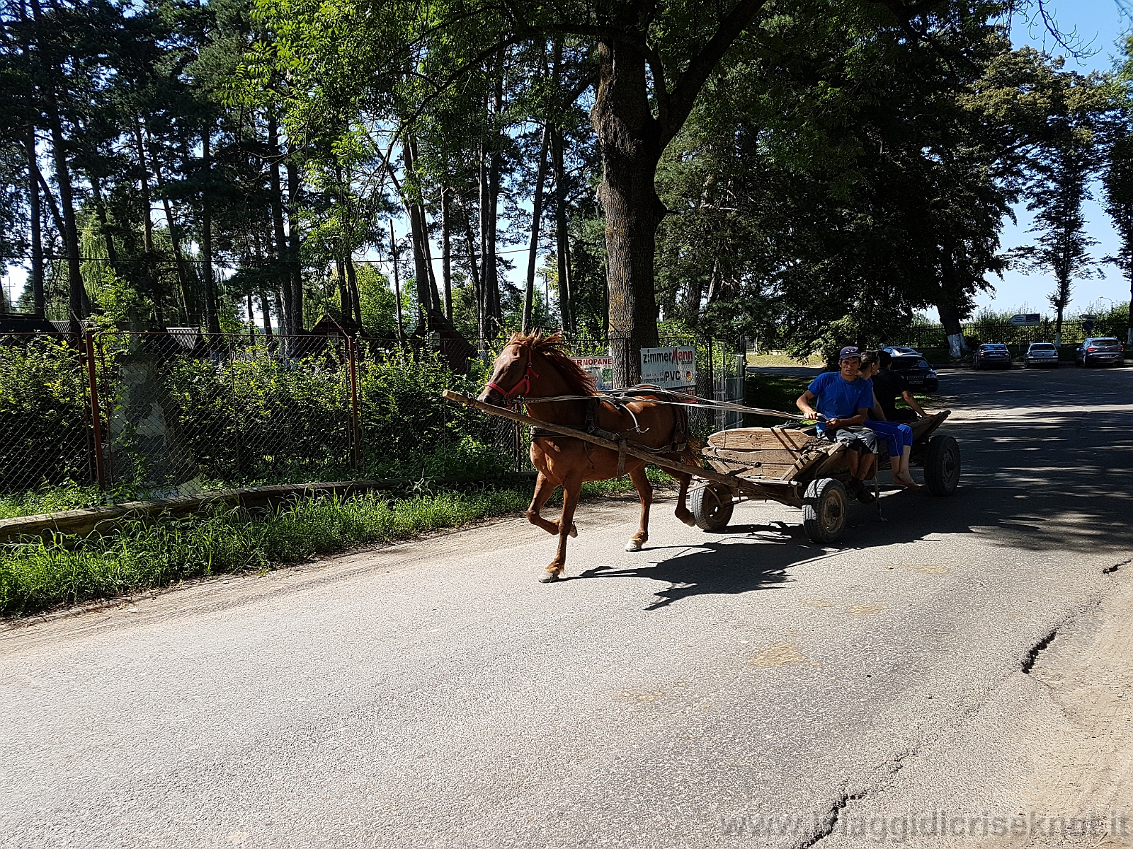 20180808_154739.jpg - Giorno 8: Monastero di Dragomirna.Incontri.