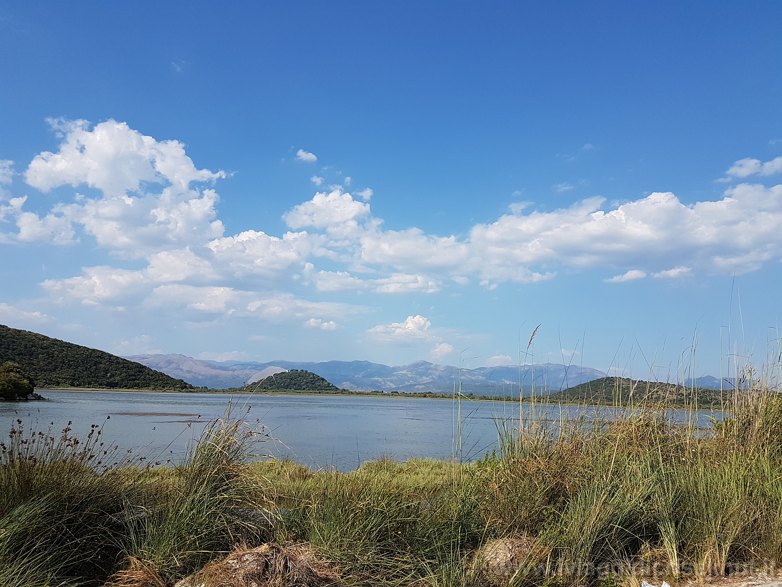 20180819_172119.jpg - Igoumenitsa: verso Drepanos beach.