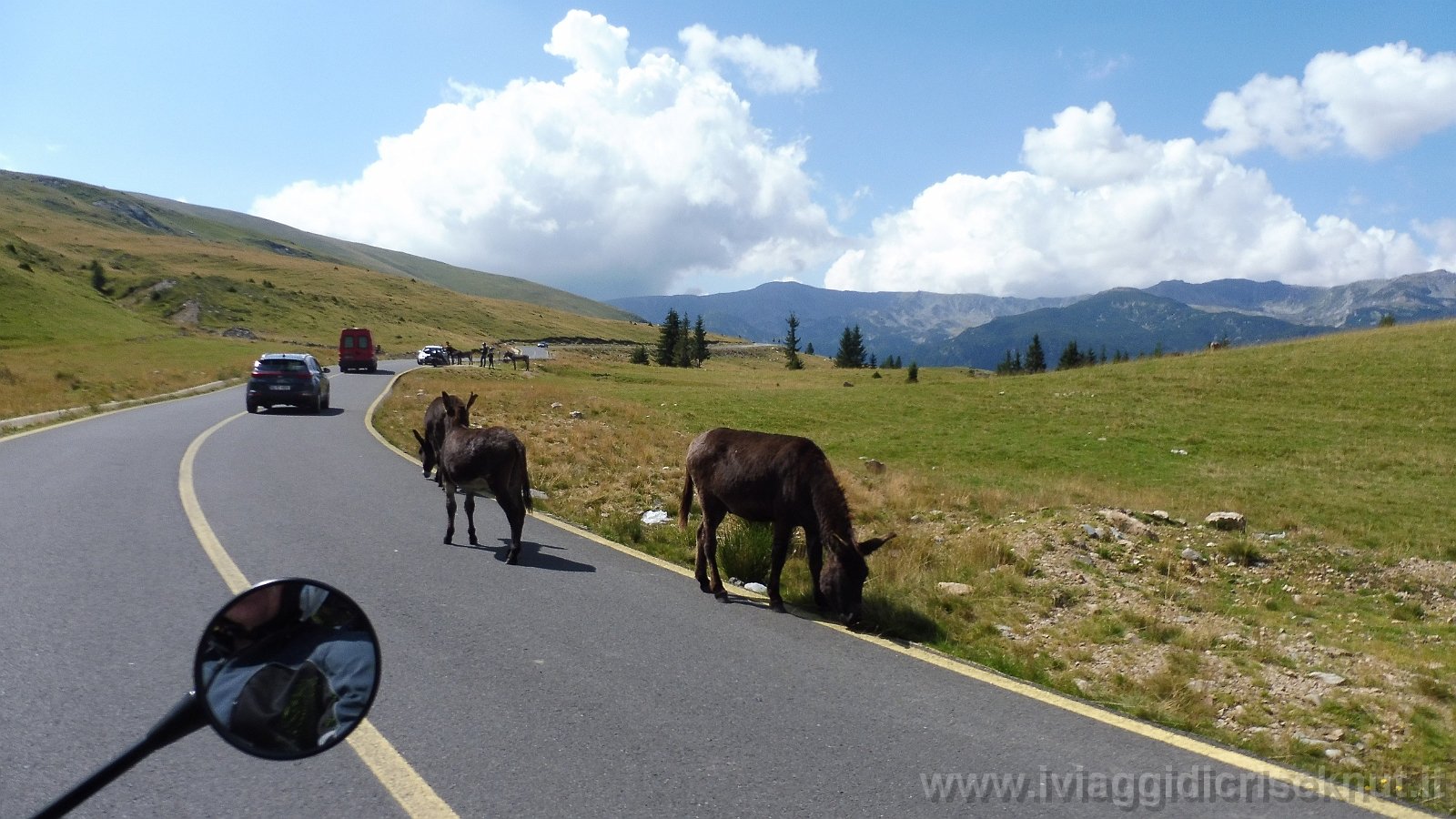 P1020994.JPG - Transalpina.