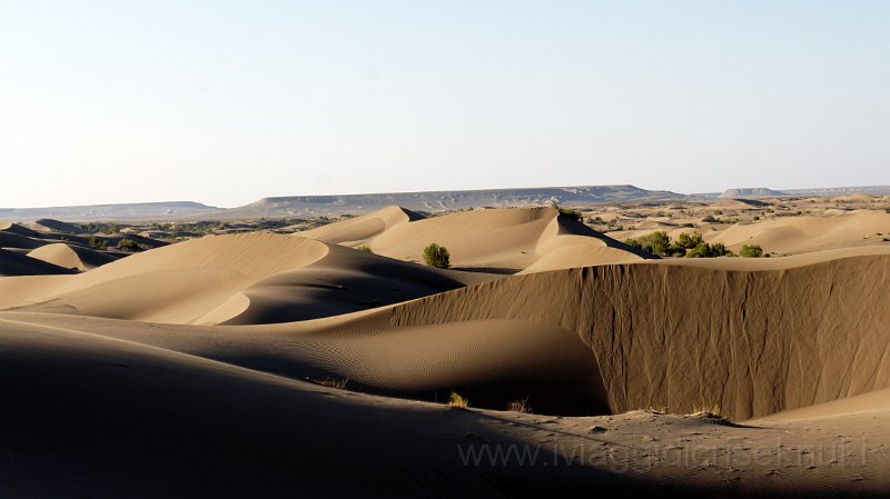 DSC04738.JPG - Dasht e Kavir, le dune del area di "Rig e Jen"