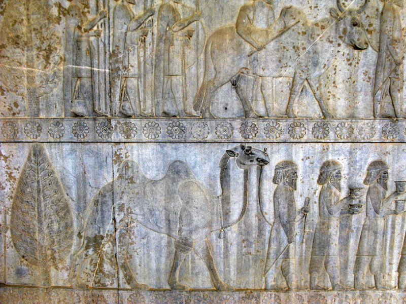 IMG_1945.JPG - Persepolis!