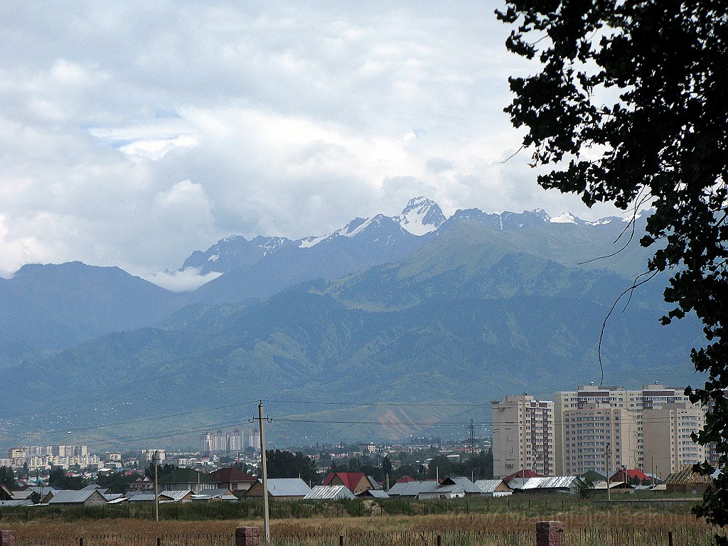 IMG_3055.JPG - I sobborghi di Almaty