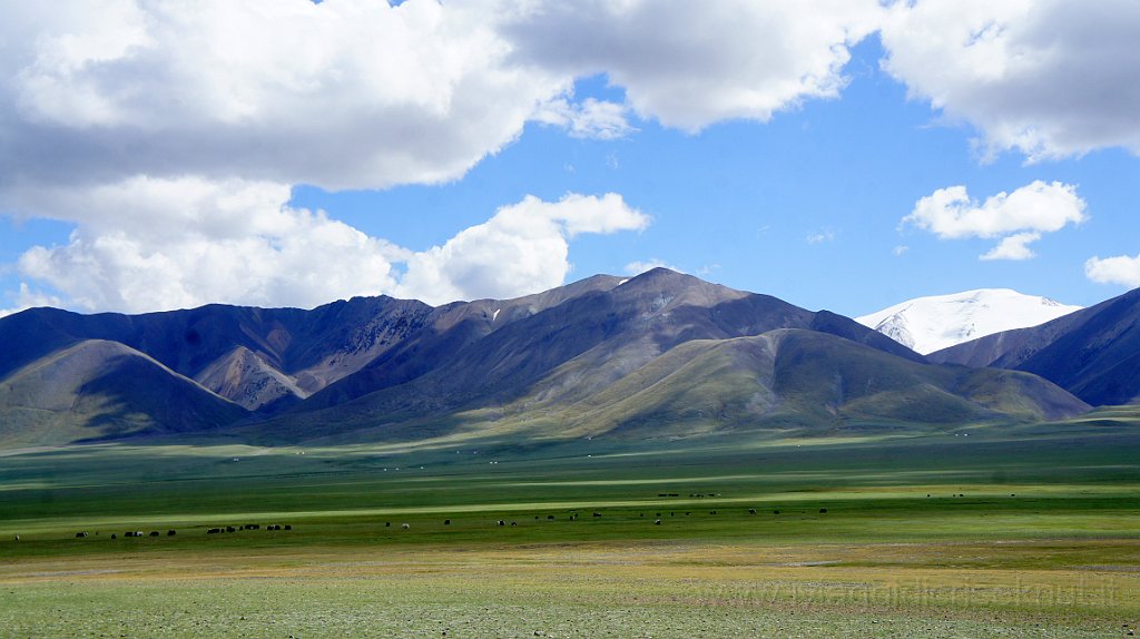 DSC06924.JPG - Verso Khovd.