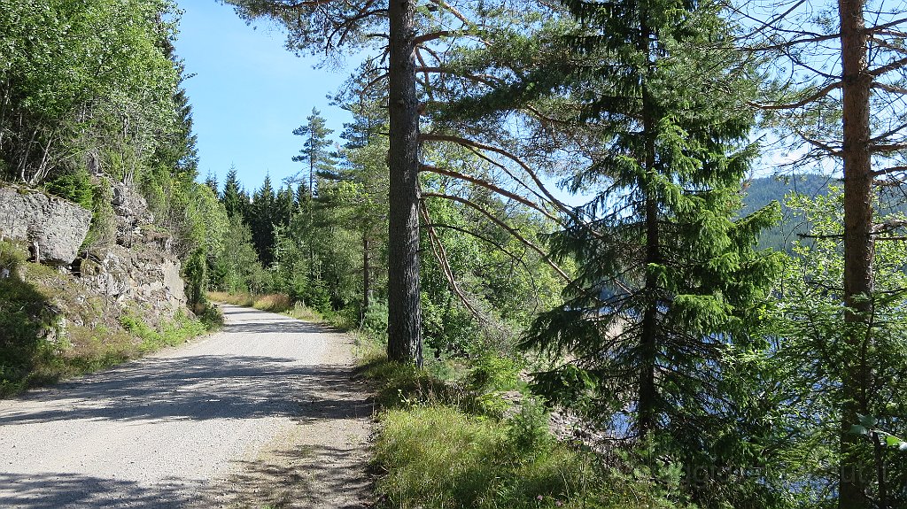 IMG_5105.JPG - Gamle Luksefjellveien, strada sterrata intorno a Skien