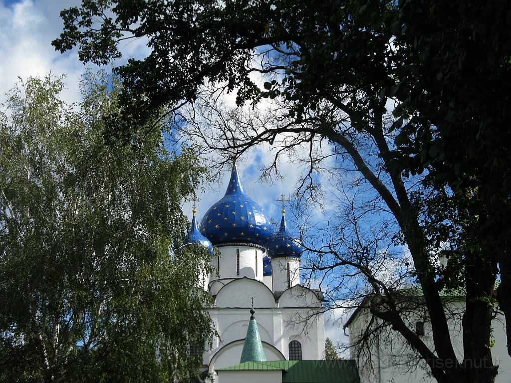 IMG_3595.JPG - Suzdal, Cattedrale della Natività.