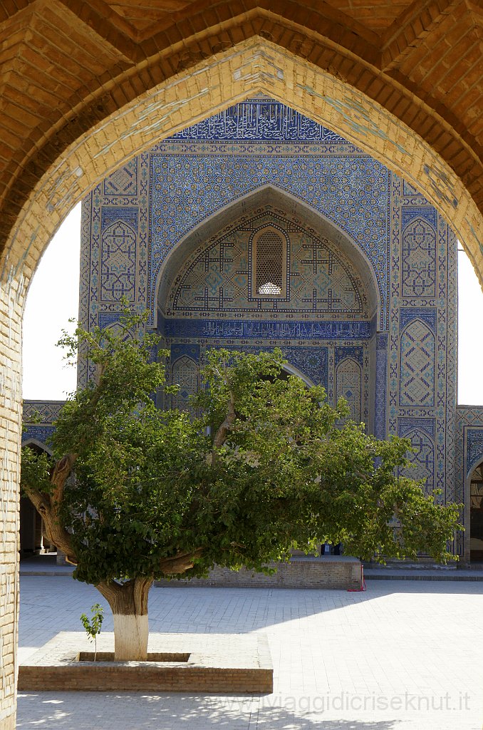 DSC05078.JPG - Moschea Kalon, l'ulivo nel cortile.